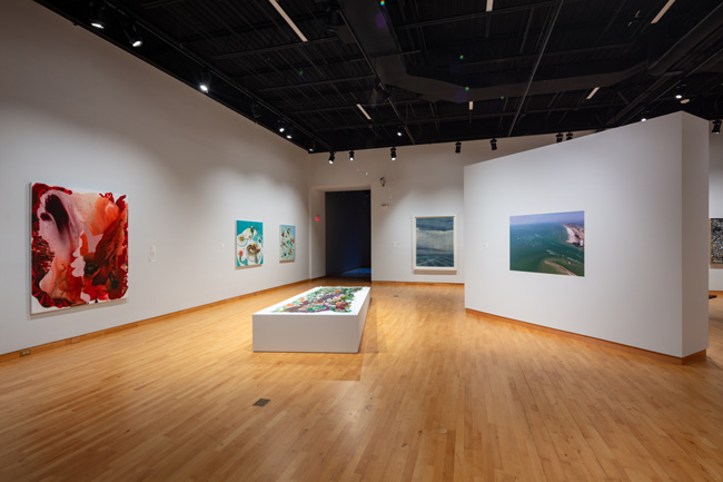 Installation view of Skyway: 12 Ways of Looking at a Landscape at USF Contemporary Art Museum. Photo: Ian Foe.