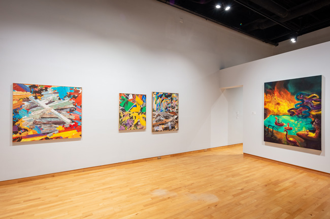 Installation view of Skyway: 12 Ways of Looking at a Landscape at USF Contemporary Art Museum. Photo: Ian Foe.
