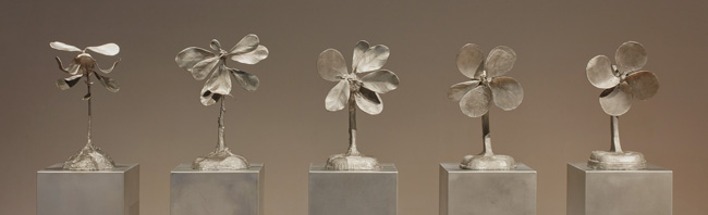 Jim Dine, Metamorphosis of a Plant into a Fan